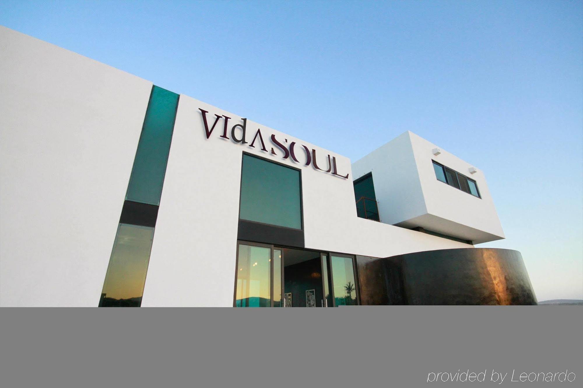 Vidasoul Boca de la Vinorama Bagian luar foto
