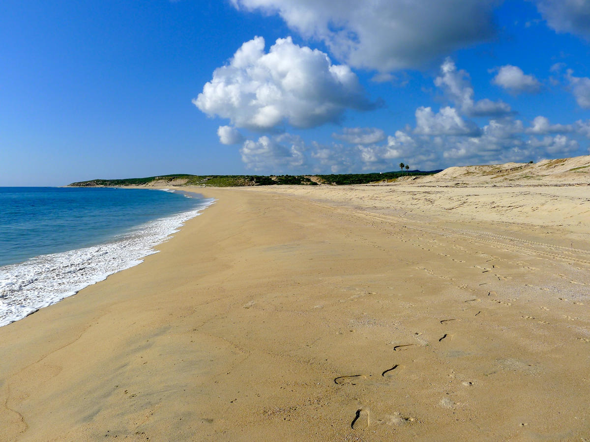 Vidasoul Boca de la Vinorama Bagian luar foto