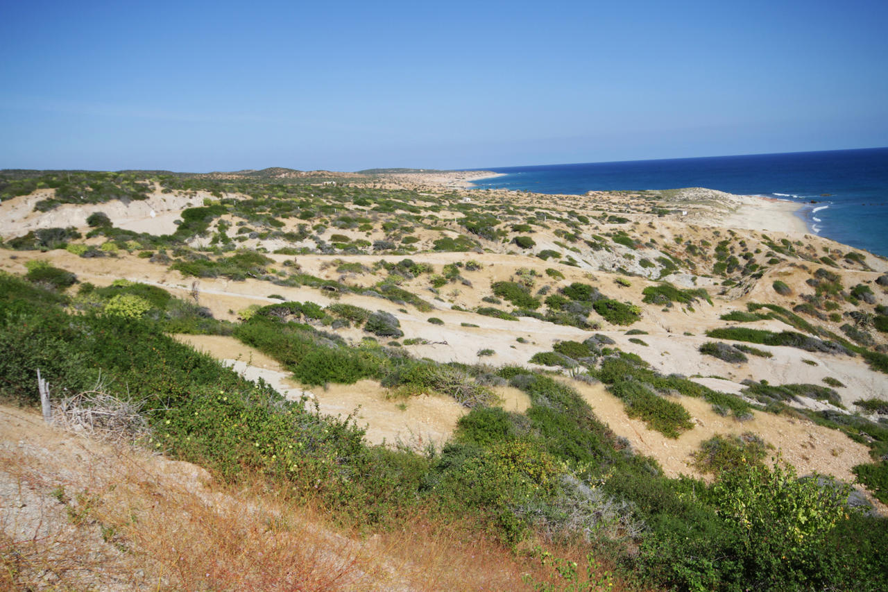 Vidasoul Boca de la Vinorama Bagian luar foto